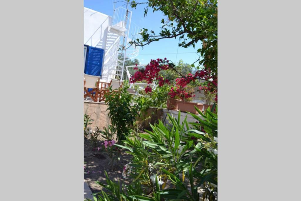 Aegina House Διαμέρισμα Εξωτερικό φωτογραφία