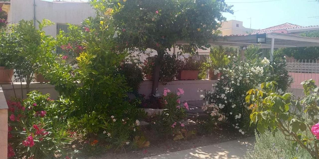 Aegina House Διαμέρισμα Εξωτερικό φωτογραφία
